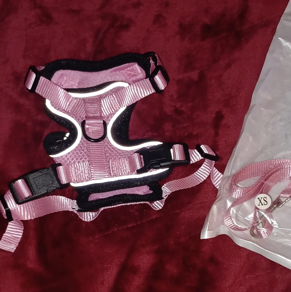Small Pink Kitten & Cat Harness/ Lead Set